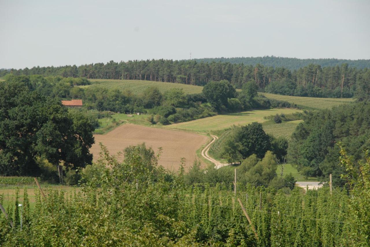 Ferienwohnung Passivhaus "Schoene Aussicht" Georgensgmund 外观 照片